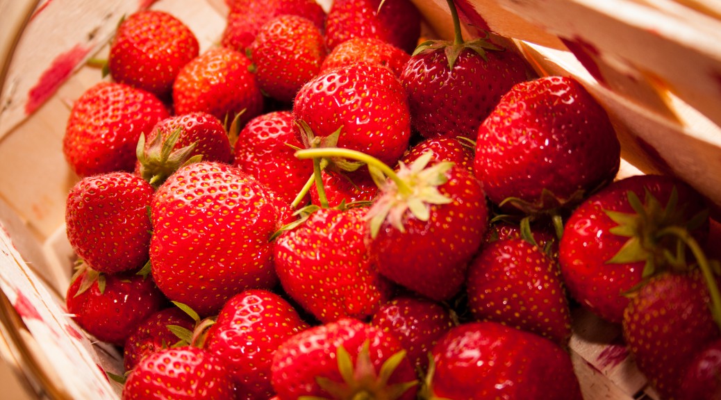 Erdbeeren selber pflücken