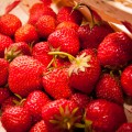 Erdbeeren selber pflücken