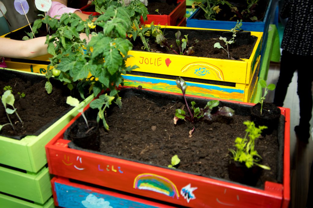 Kindergeburtstag - Hochbeet für Balkon oder Terrasse mit den Kindern bauen