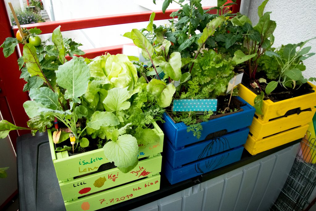 Kindergeburtstag - Hochbeet für Balkon oder Terrasse mit den Kindern bauen